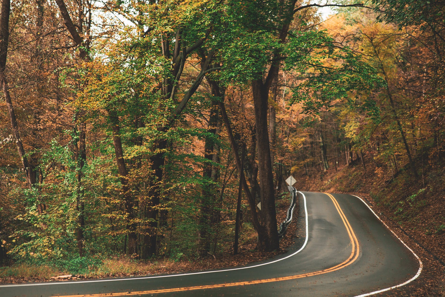 Country Road Shot