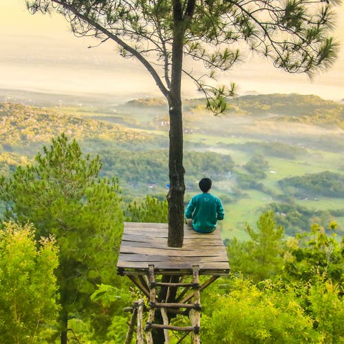 Man in tree platform