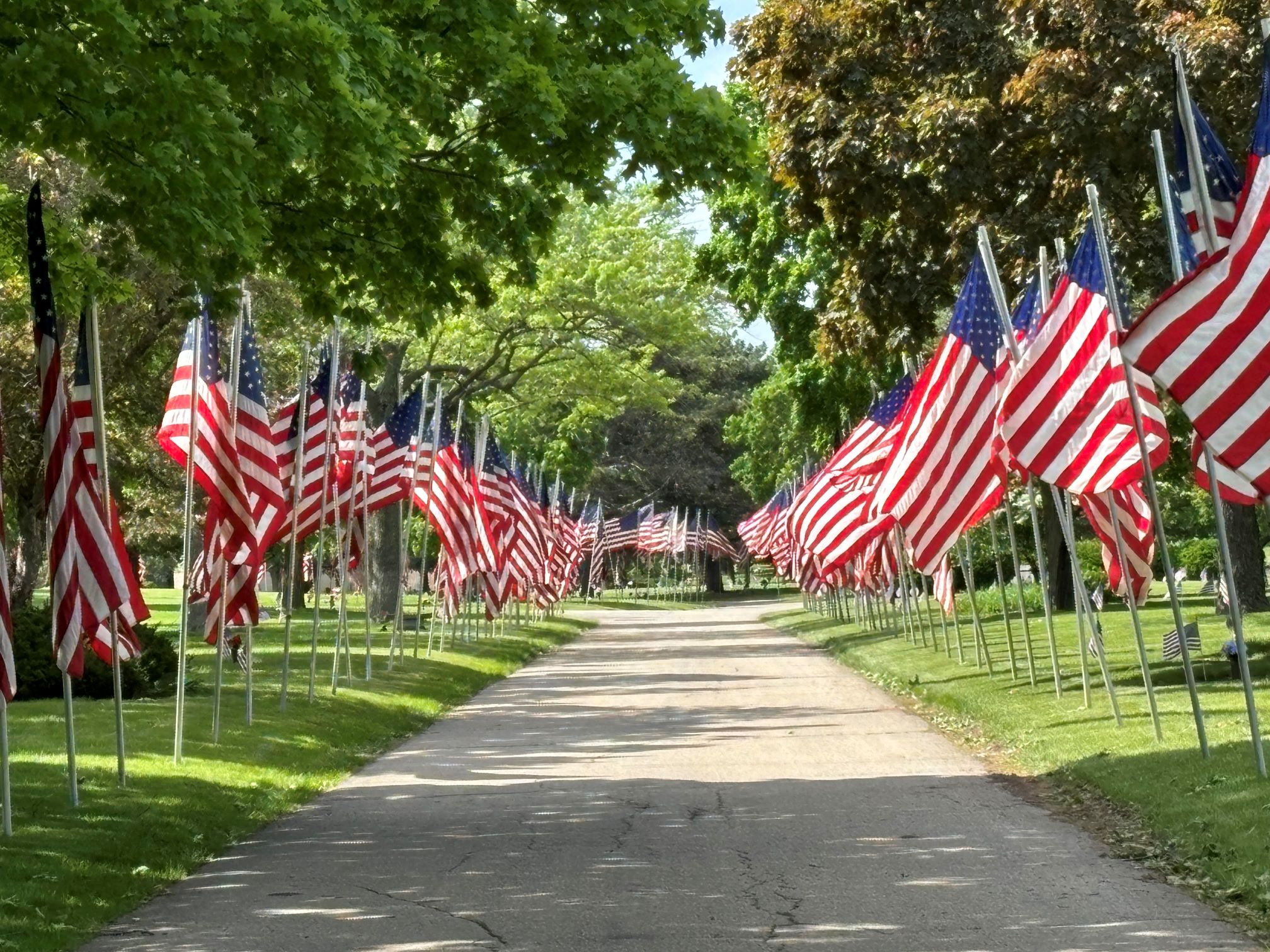 Cemetery Flags 50%